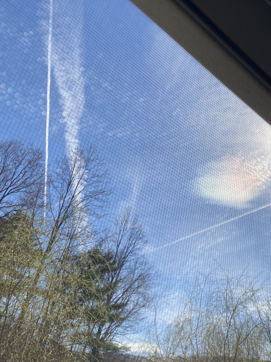 Dr. Naomi Wolf. 8 NYT Bestsellers. DPhil, Poetry. tweet media