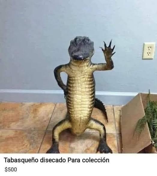 𝐇𝐨𝐥𝐲 🎸𝐆𝐮𝐢𝐭𝐚𝐫 tweet media