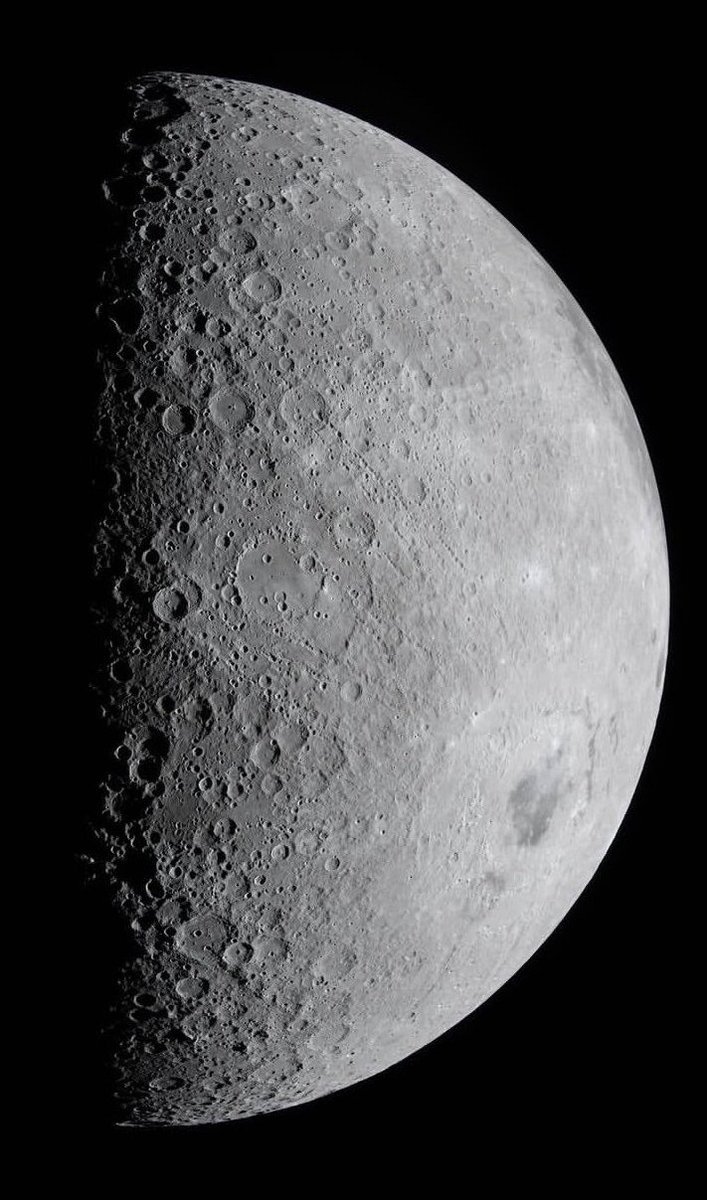 A. Rogers tweet media