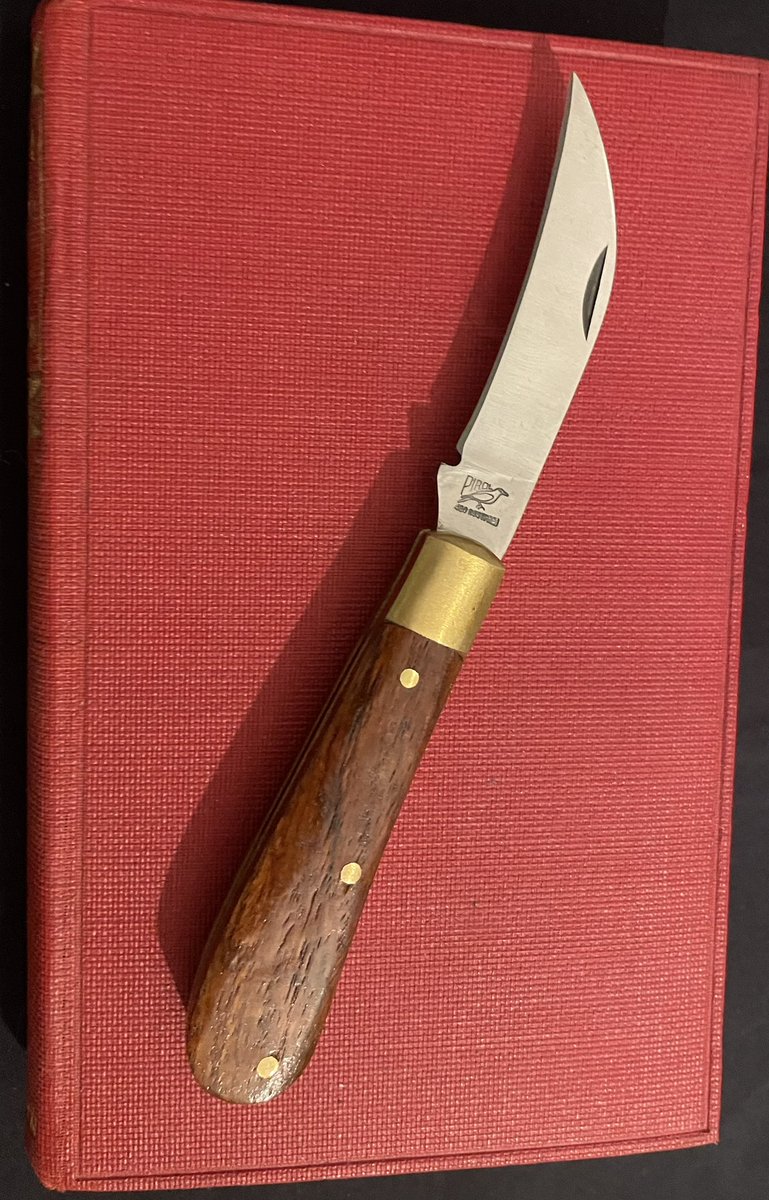 𐌔𐌉𐌂𐌊𐌊𐌉𐌃 tweet media