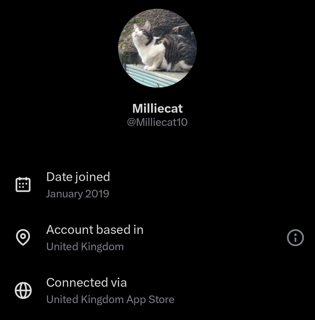 Bellamaxwell84's tweet image. Worry about your shitty country! Lol