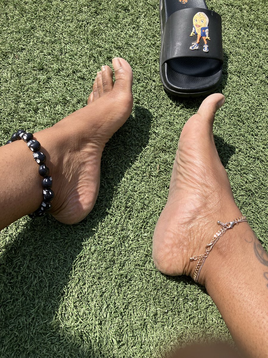 PawsByBastet tweet media