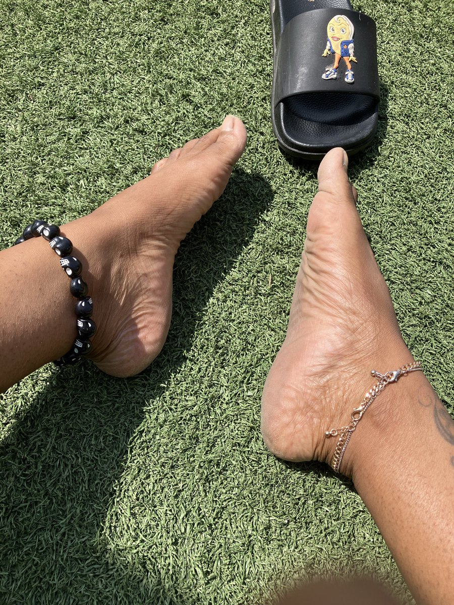 PawsByBastet tweet media