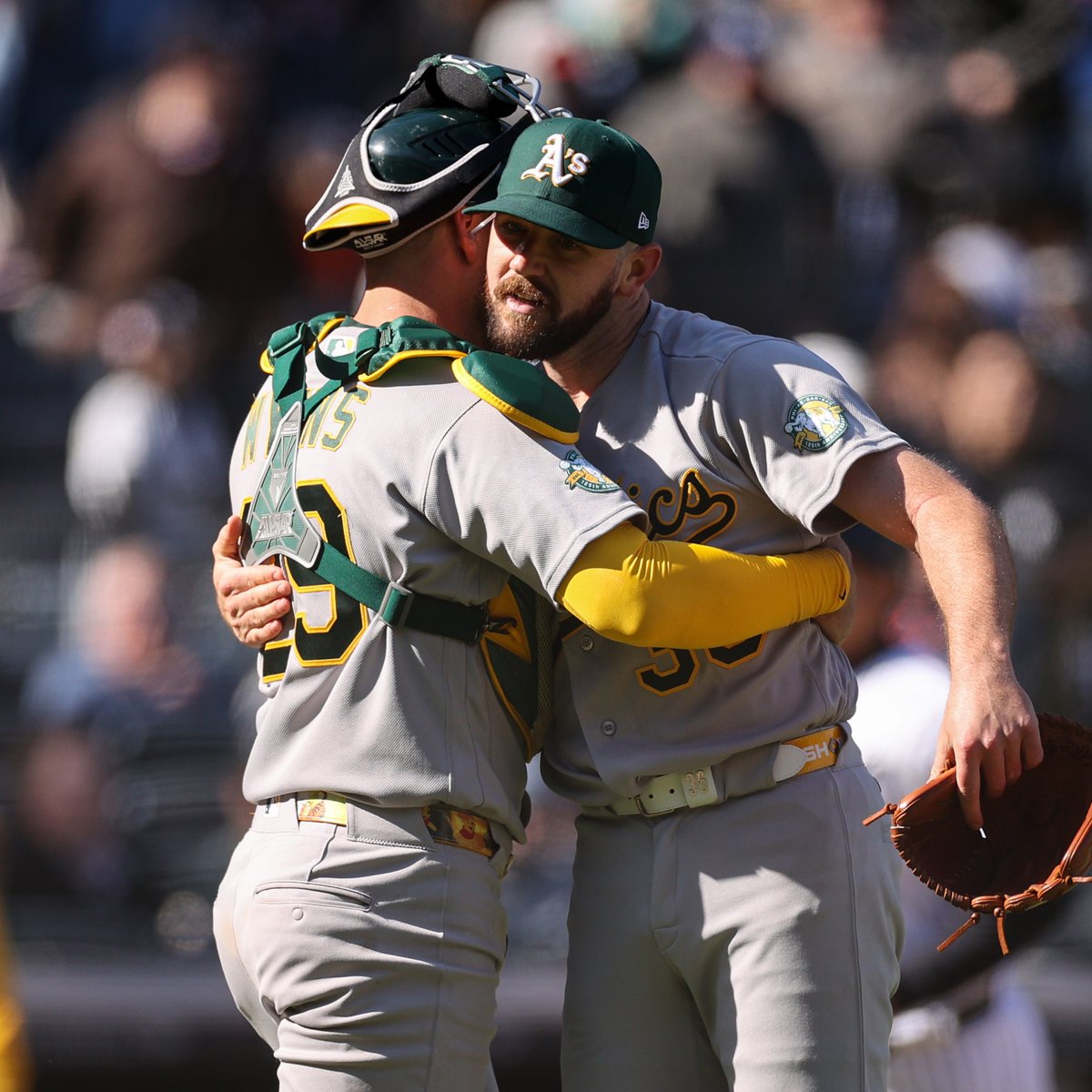 MLB Stats tweet media