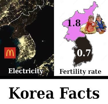 Amira Dalton 🇺🇸 tweet media