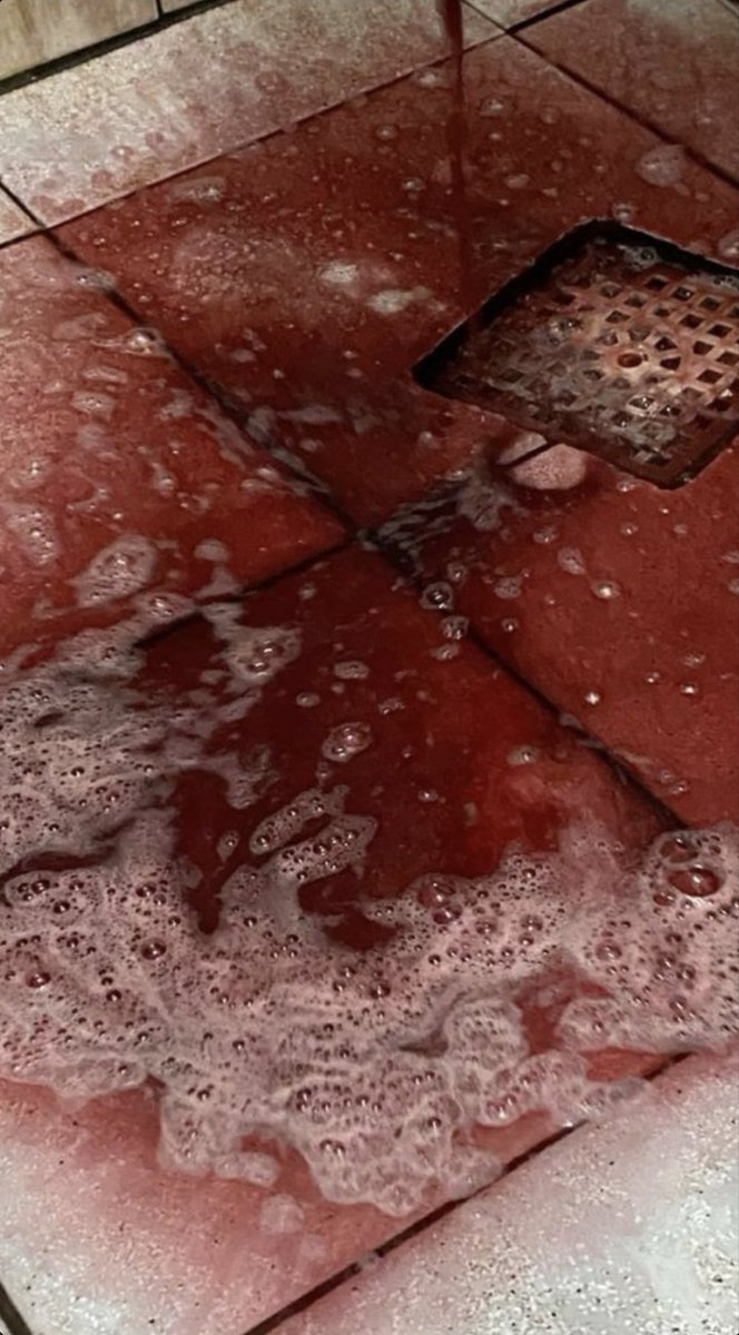 Jeff the Killer IRL of SHEDtwt tweet media