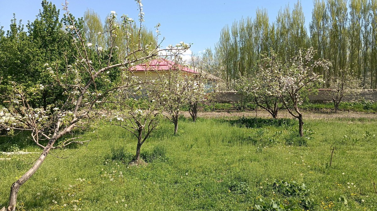 986035014195655 💳AJ tweet media