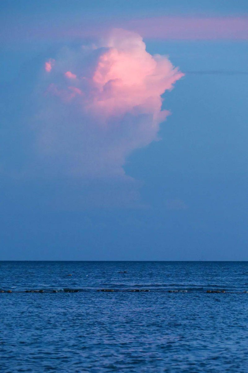 hounaida tweet media