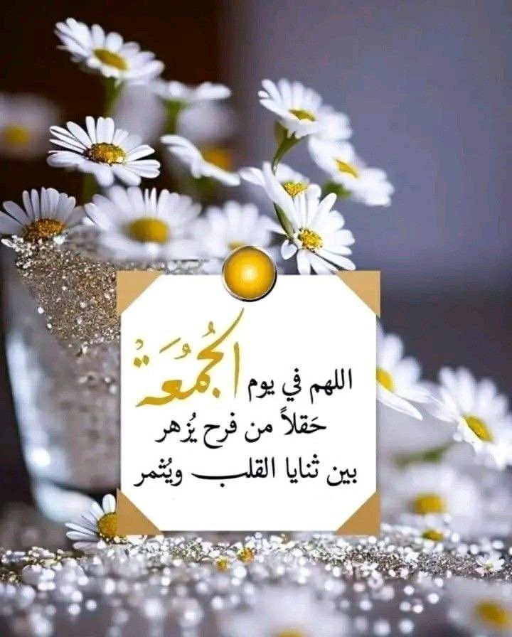 ابوسامي عبده صالح tweet media