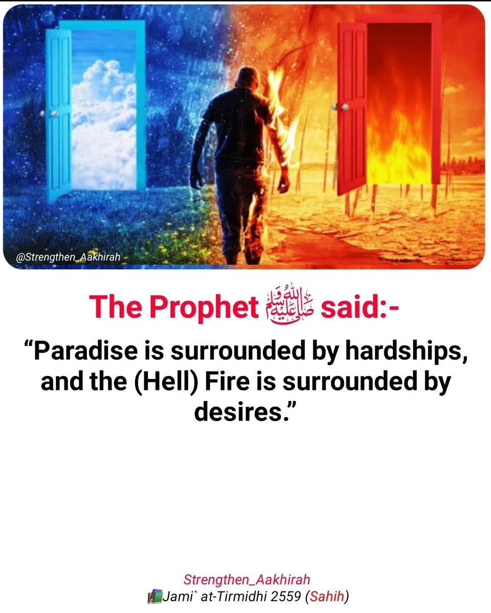 The Prophet (ﷺ) said: