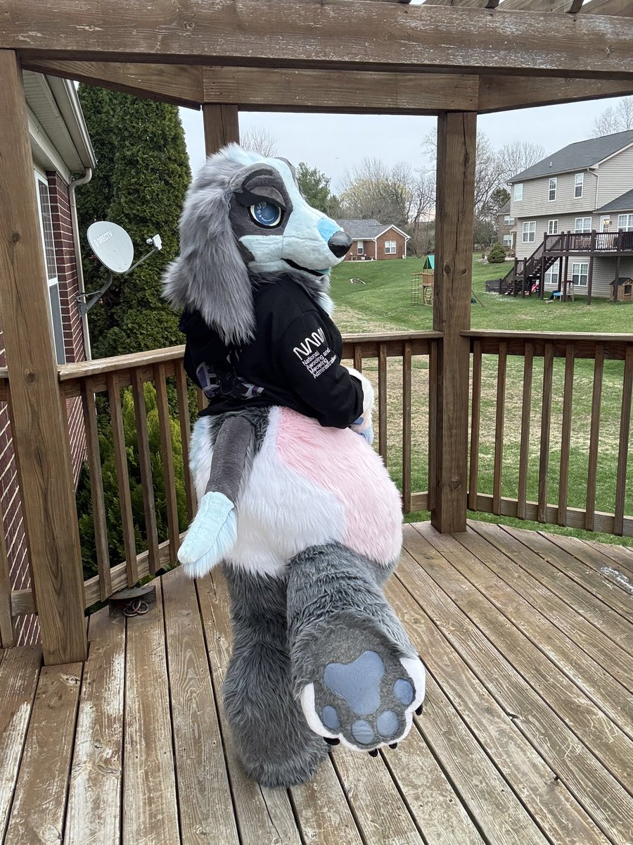 Luna tweet media