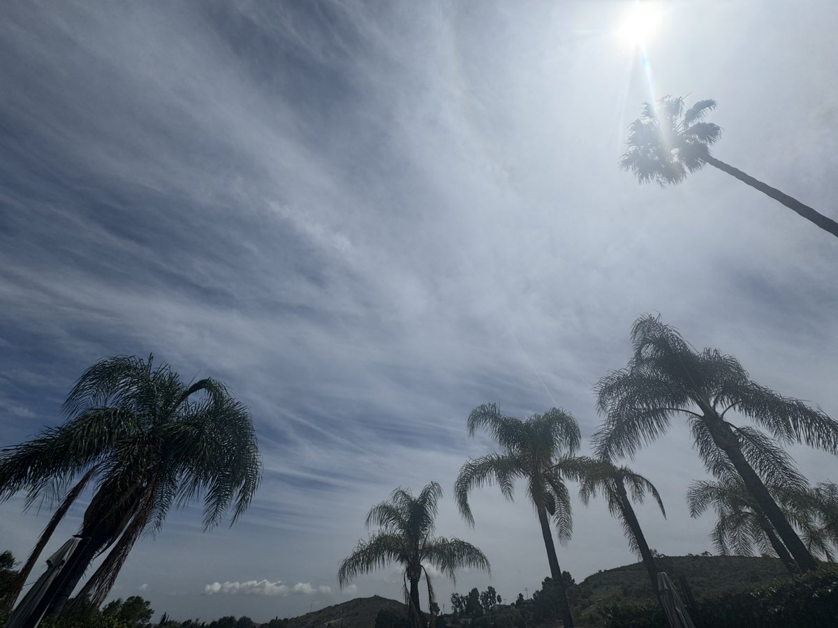 Conspiracy Cali tweet media