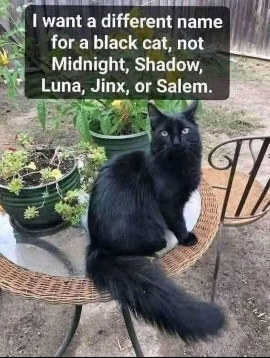 Maria Rose ❤️ tweet media