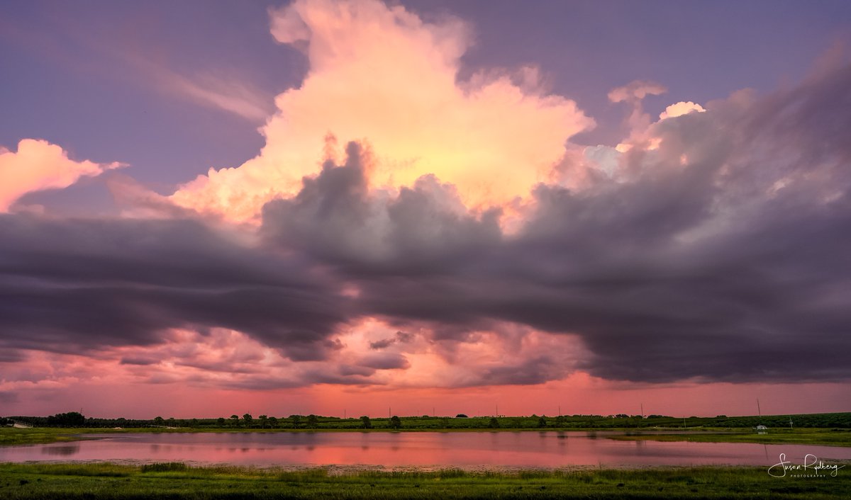 Susan Rydberg tweet media