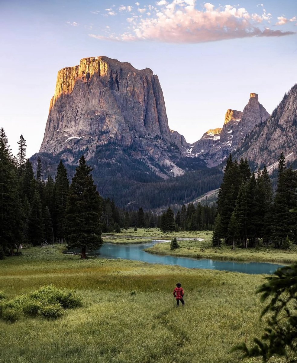 Purely Green tweet media