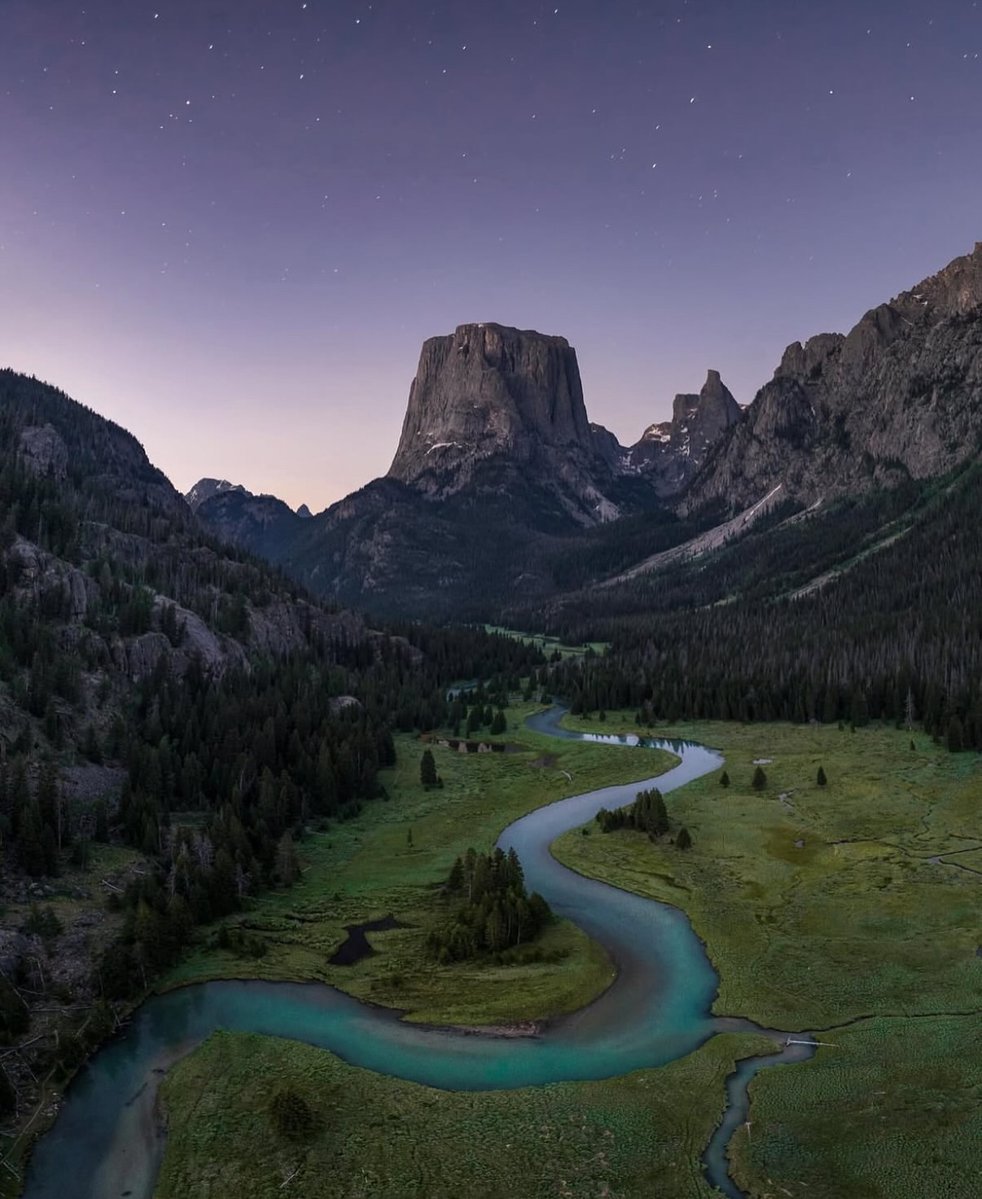 Purely Green tweet media