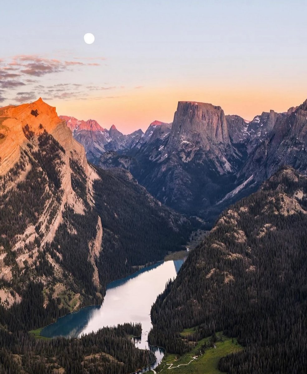 Purely Green tweet media