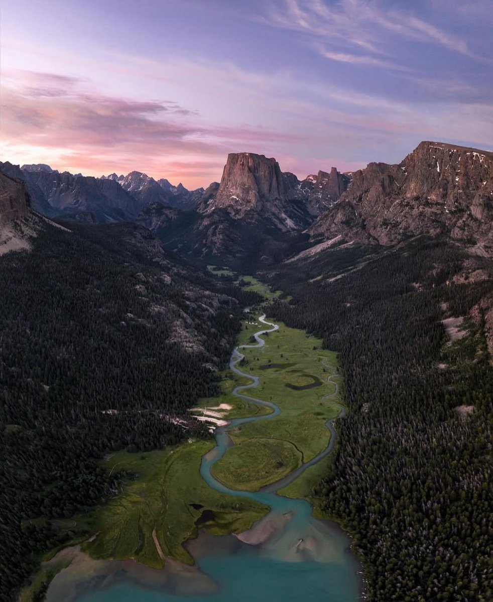 Purely Green tweet media