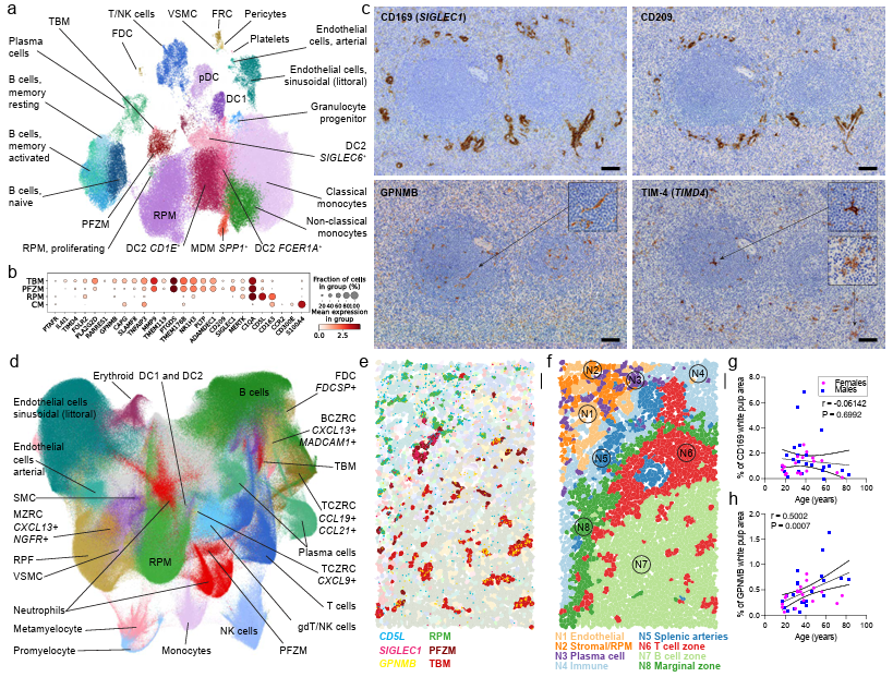 Waggoner Lab tweet media