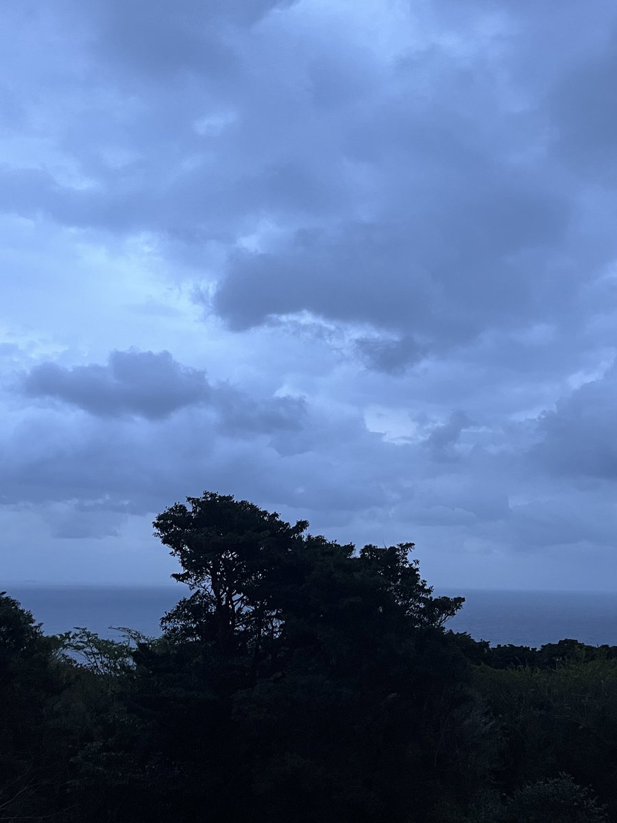 🌸同感🌸 tweet media