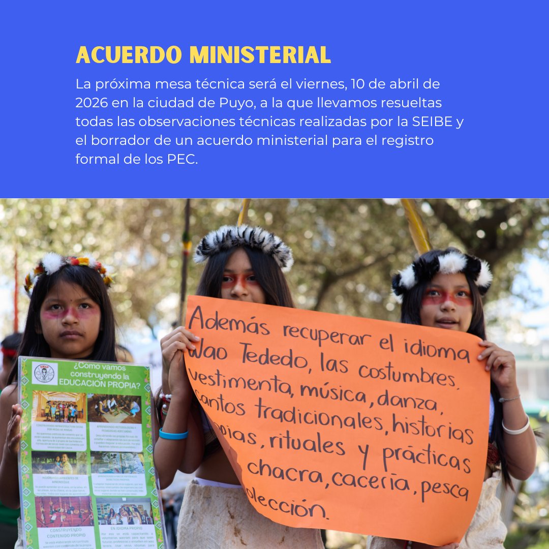 AlianzaCeibo's tweet photo. Esperamos que la mesa técnica sea un espacio resolutivo, con representantes de la @SEIBEec, del Ministerio de @Educacion_Ec y de la @Vice_Ec, que tengan poder de decisión para avanzar con la aprobación del acuerdo ministerial propuesto y establecer hojas de ruta de implementación https://t.co/AmqrqTqSwM