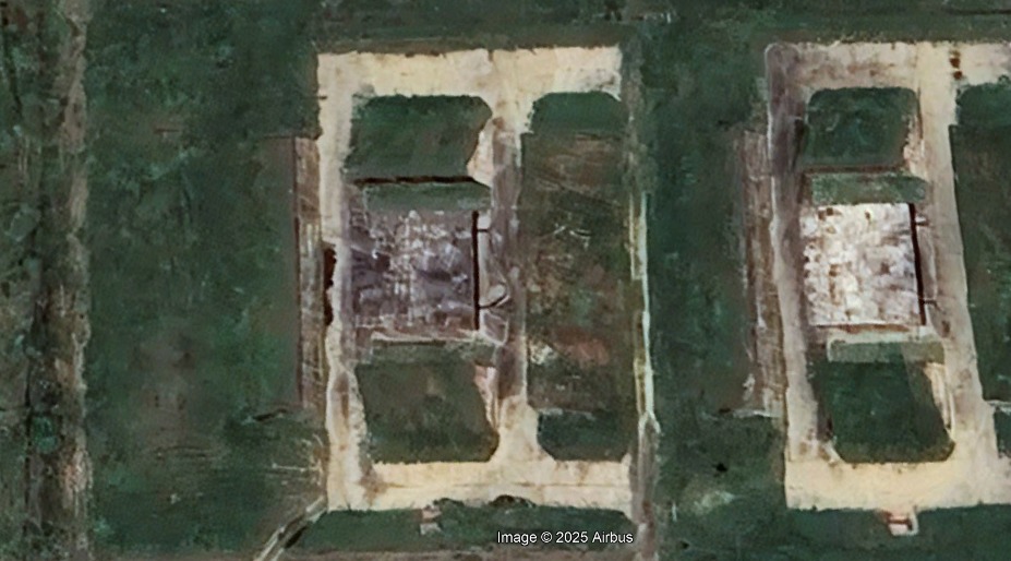 Cow 🇵🇰🇵🇸 tweet media