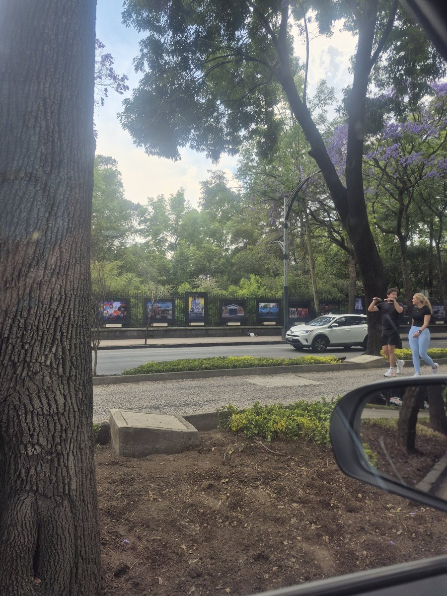 La Señora Dinamita tweet media