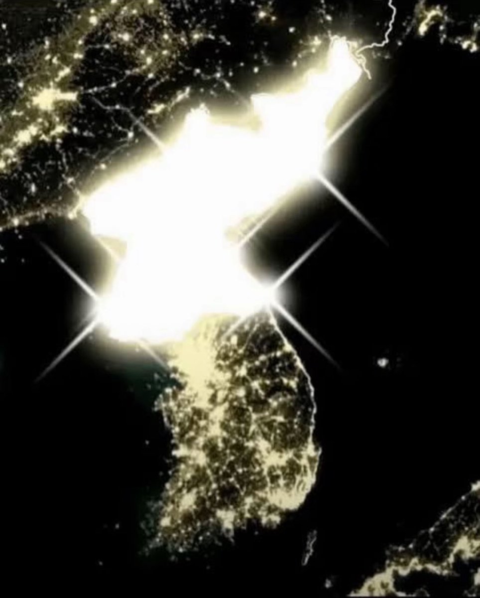 Ethan Levins 🇺🇸 tweet media