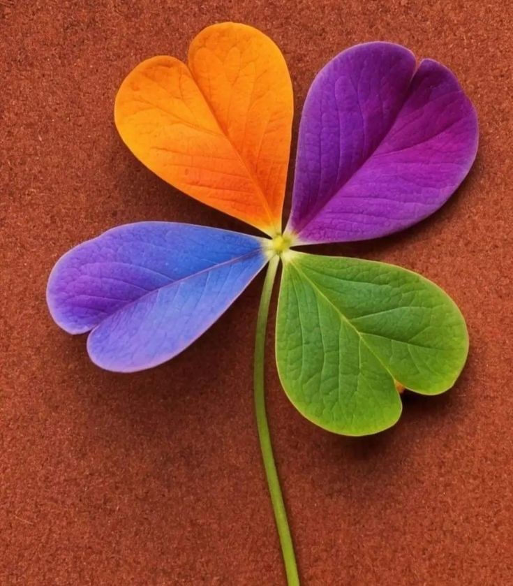 책굽는타자기 tweet media