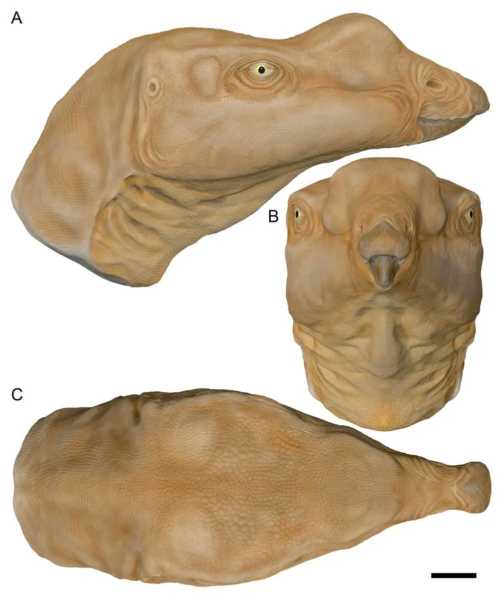 Urart🫀🇵🇸🇻🇪 tweet media