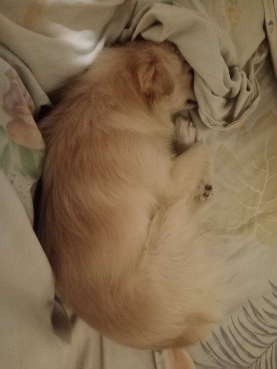 nart (evil mart) tweet media