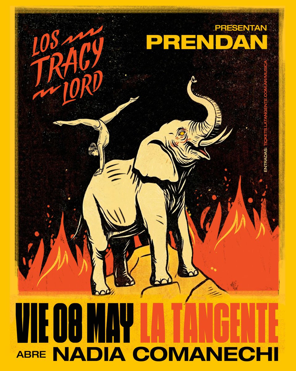 Los Tracy Lord 🐘 tweet media