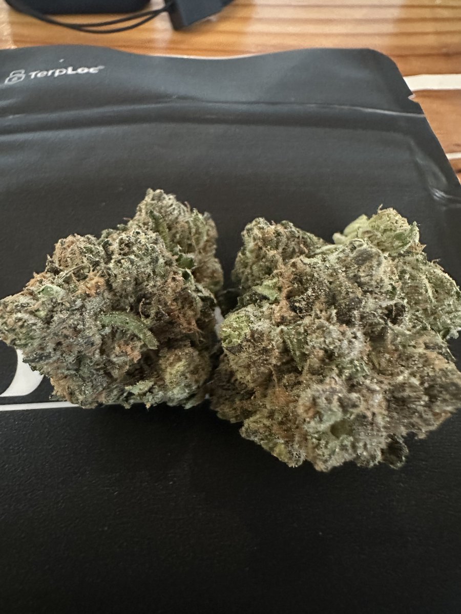 ZaZaWizardOG's tweet photo. Fattys - Zkittlez x Animal Cookies BX2 https://t.co/gsnOc0hlXI