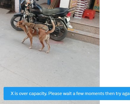 BluechecksR4Geighjus tweet media