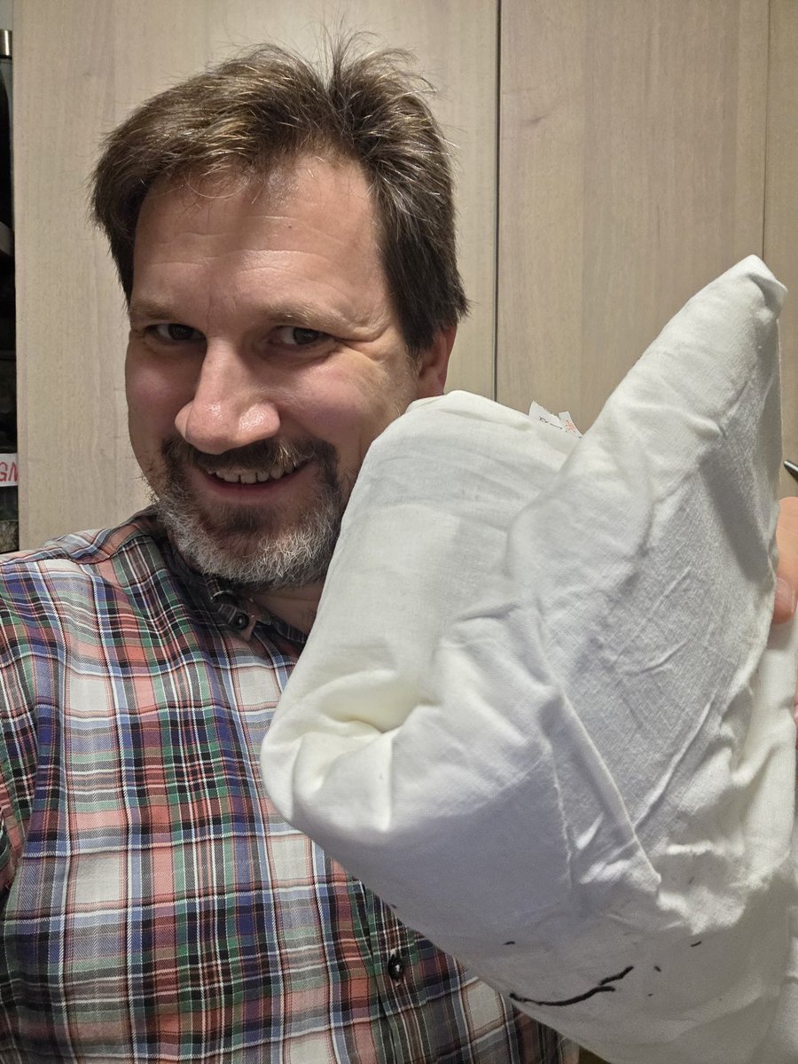 HESTETIFO 🐎 tweet media