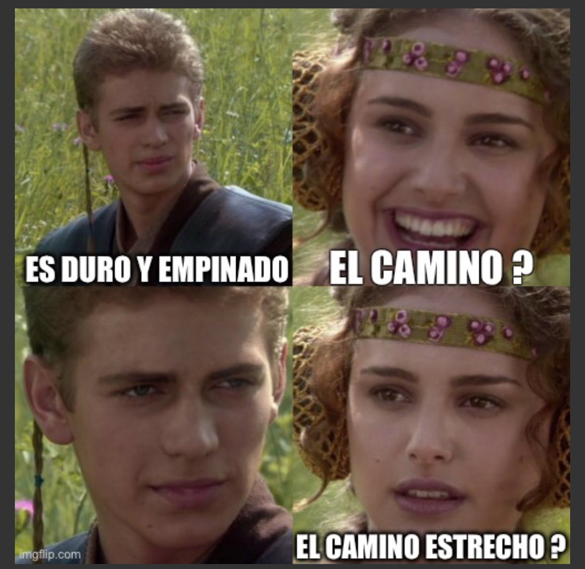 sΣrgioFajardo tweet media