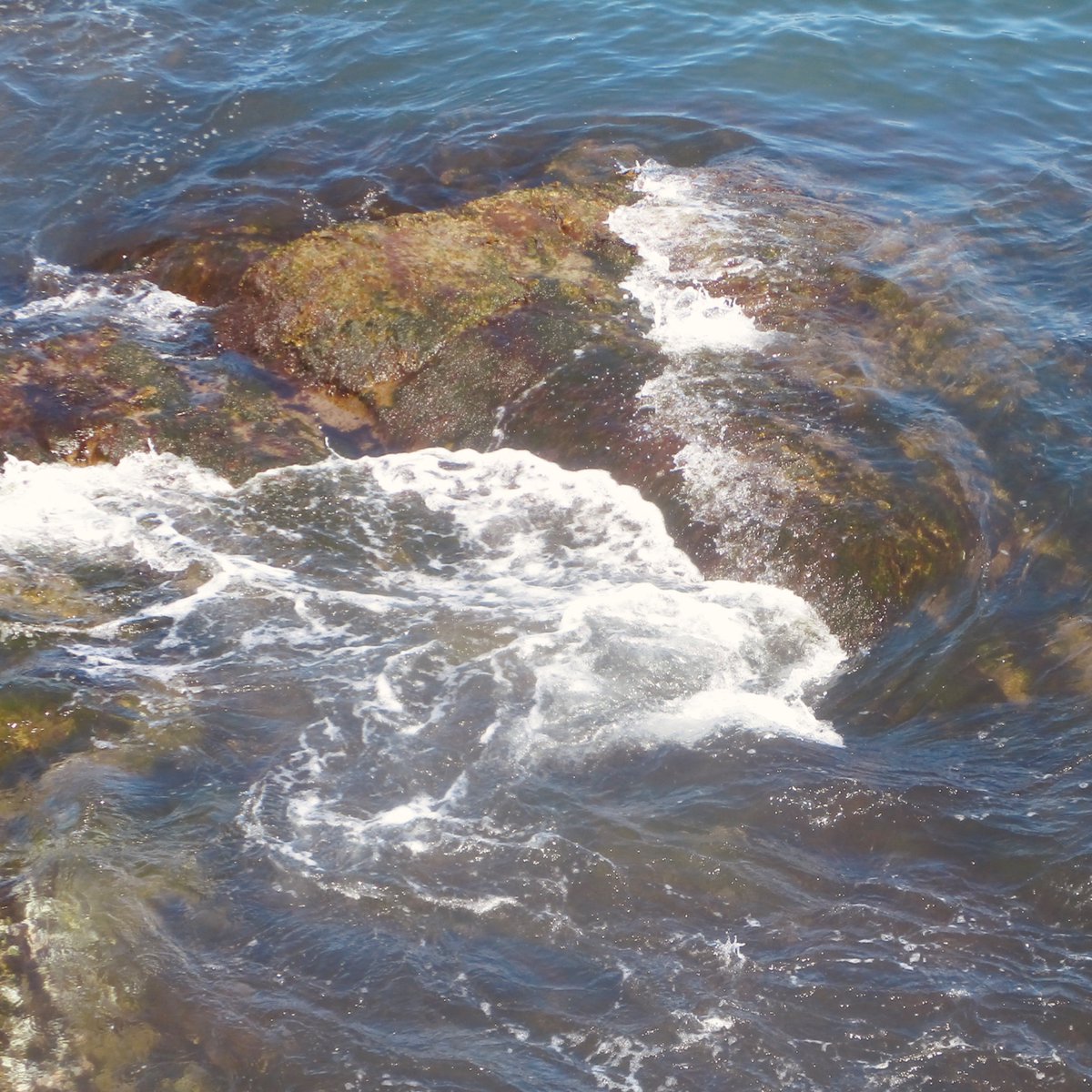 ˚ʚ♡ɞ˚agail˚ʚ♡ɞ˚ tweet media