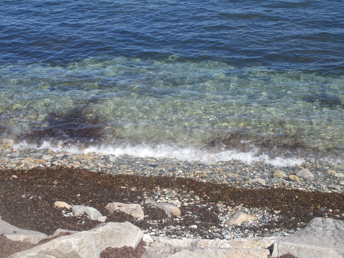 ˚ʚ♡ɞ˚agail˚ʚ♡ɞ˚ tweet media