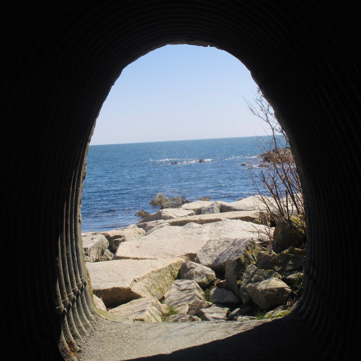 ˚ʚ♡ɞ˚agail˚ʚ♡ɞ˚ tweet media