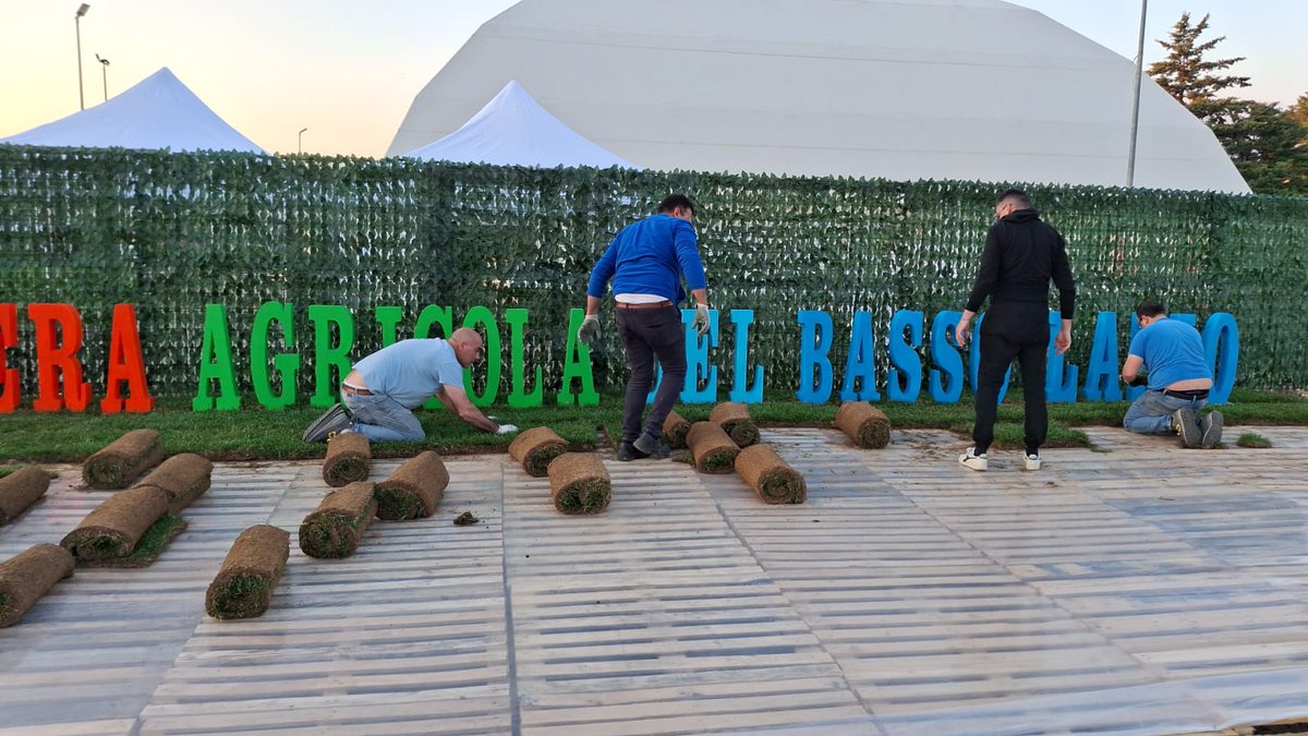 loris fratarcangeli tweet media