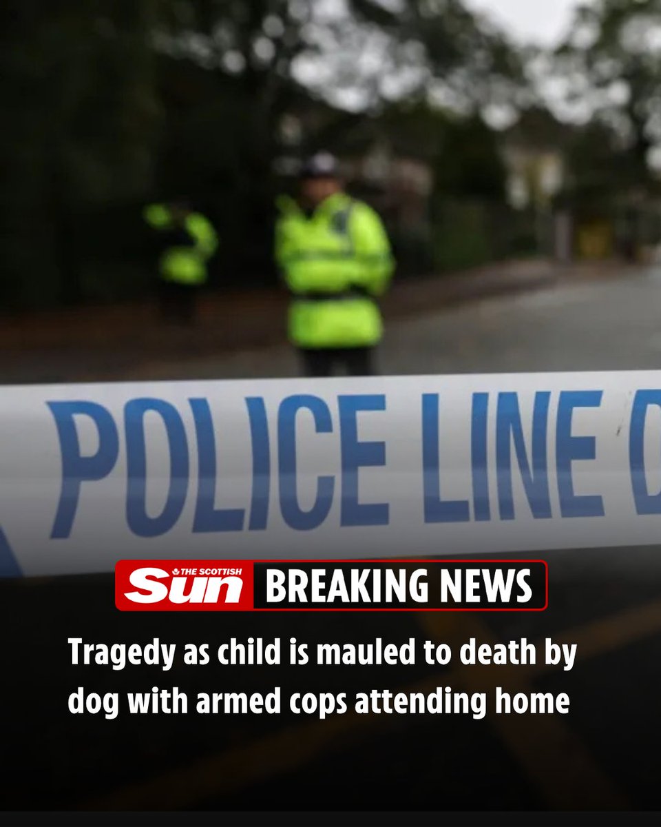 The Scottish Sun tweet media