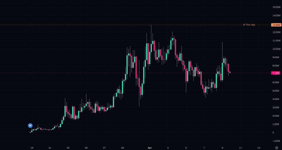Lil Alpha tweet media