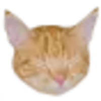 Dev ✧ Fan Account tweet media