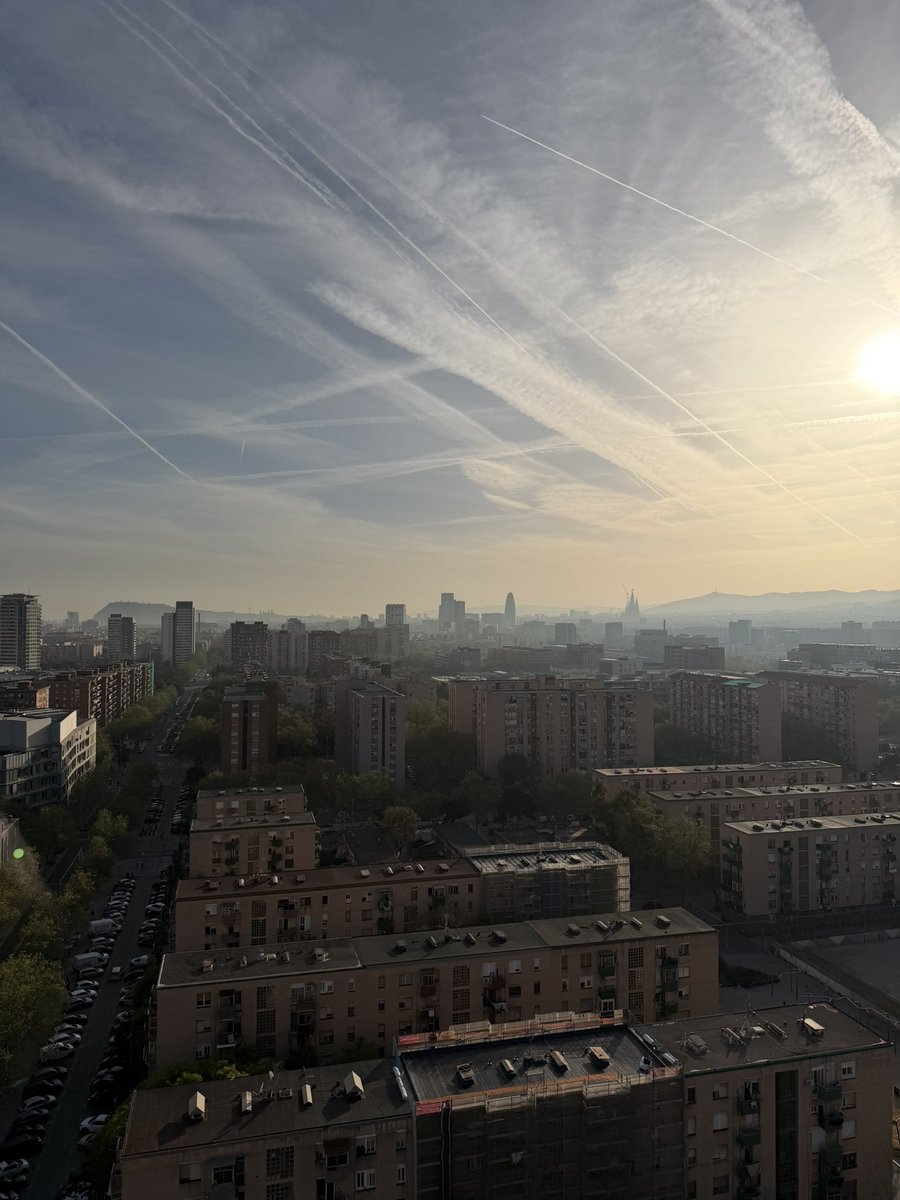 Chiyana Simões 𝕏 tweet media