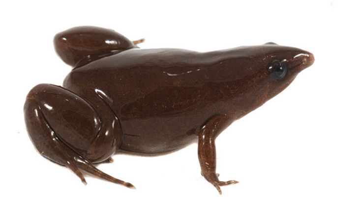 rio 🪲 bug oomf tweet media