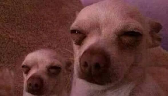 Deem🏇 tweet media