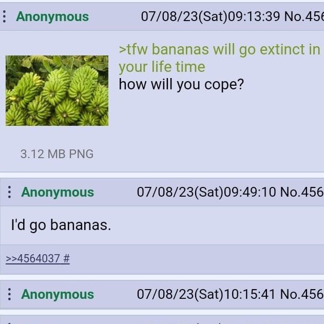 Greentext Poster tweet media