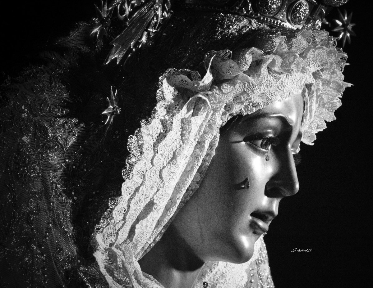 Soledad Gomez tweet media