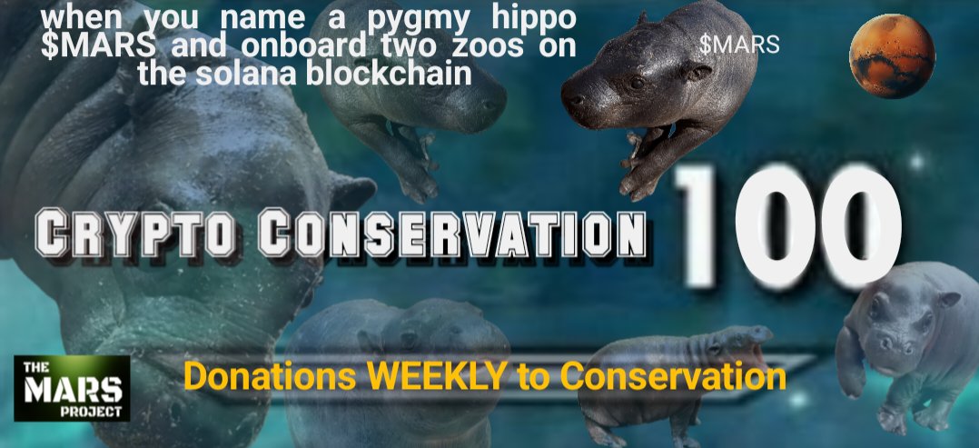 🦛Johnson tweet media