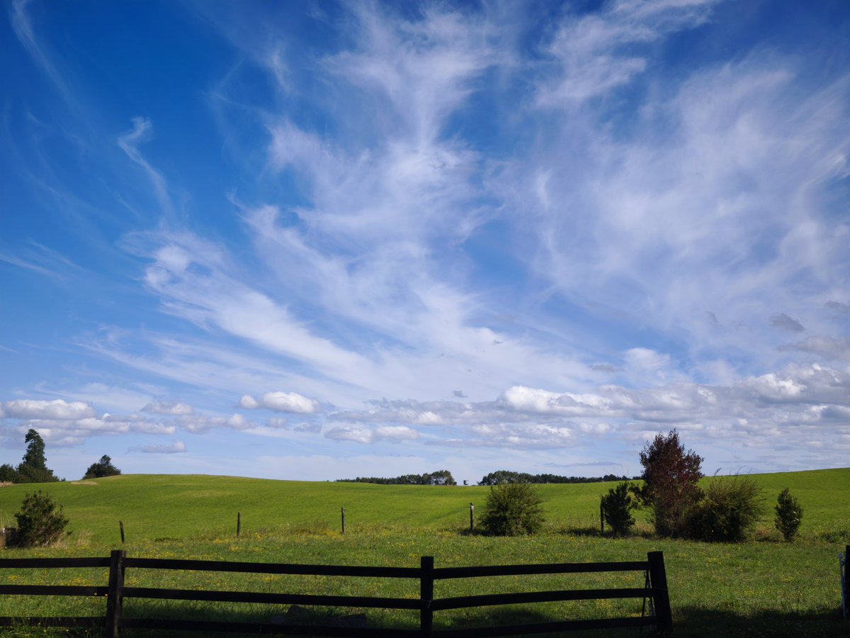 Camthy | The Viking tweet media